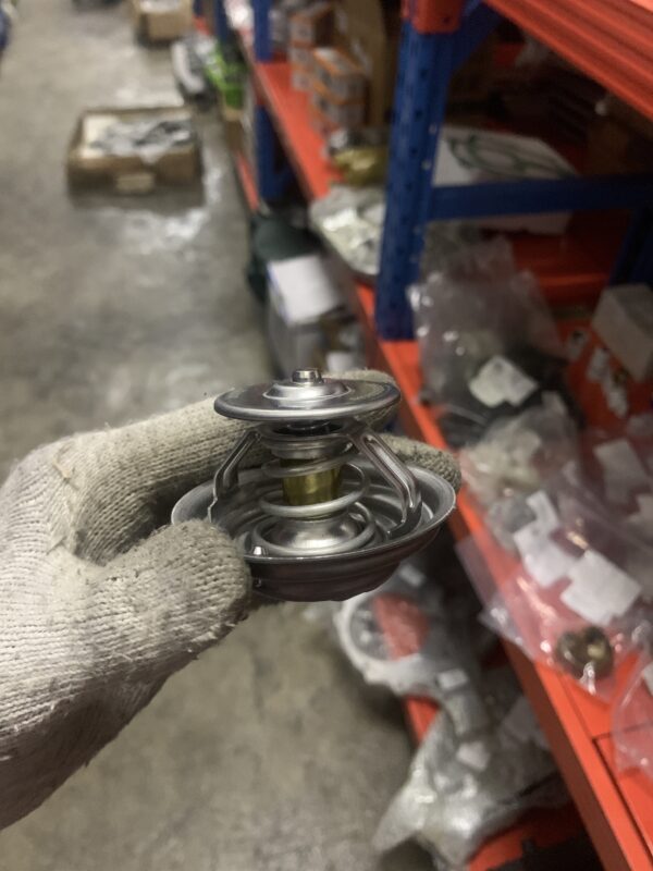 WP12 internal thermostat 83C 610800060597