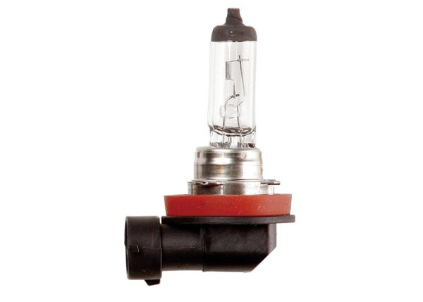 24V H11 bulb